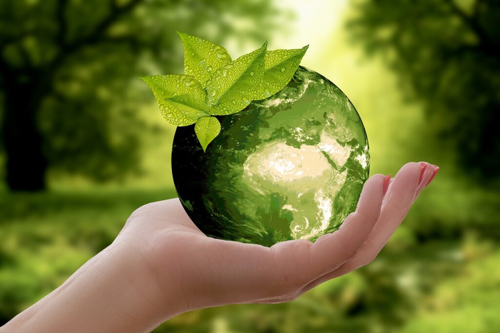 L'Etinc'Elle, À propos de l'Écologie